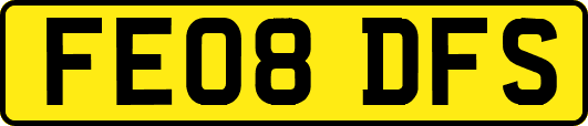FE08DFS