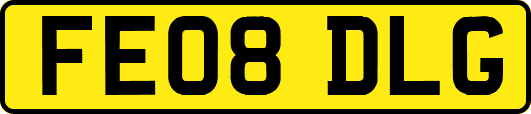 FE08DLG