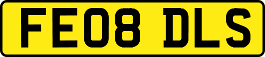 FE08DLS