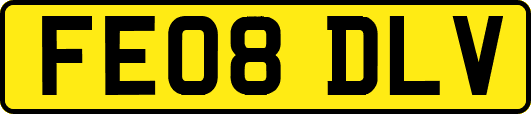 FE08DLV