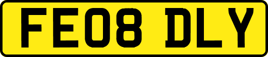 FE08DLY
