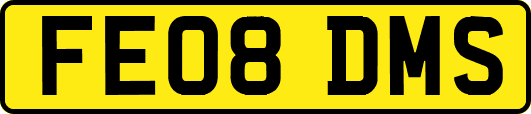 FE08DMS