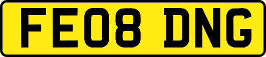 FE08DNG