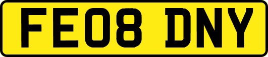 FE08DNY