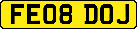 FE08DOJ