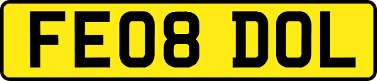 FE08DOL