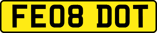 FE08DOT