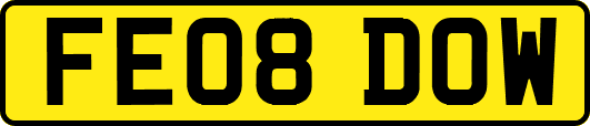 FE08DOW