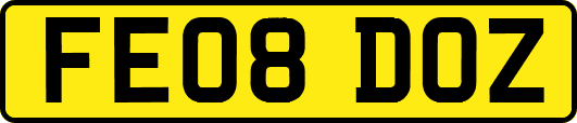 FE08DOZ