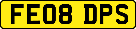 FE08DPS