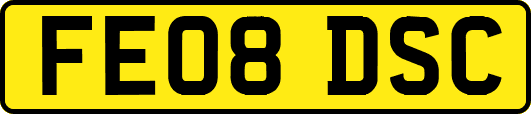 FE08DSC
