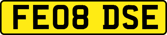 FE08DSE