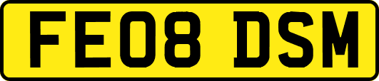 FE08DSM