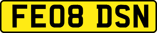 FE08DSN