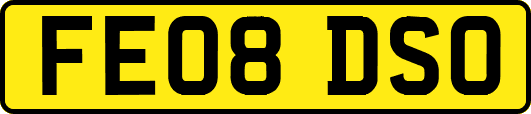 FE08DSO