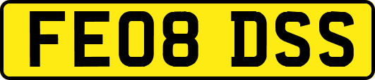 FE08DSS