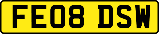 FE08DSW