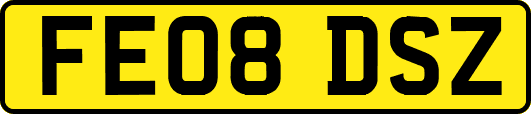 FE08DSZ