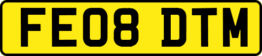 FE08DTM