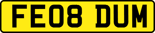 FE08DUM