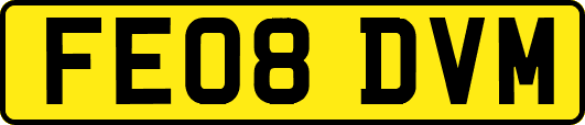 FE08DVM