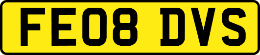 FE08DVS