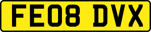 FE08DVX