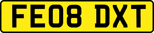 FE08DXT