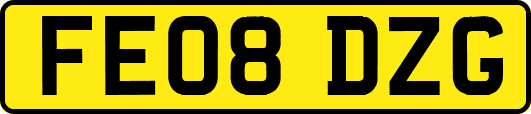 FE08DZG