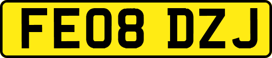 FE08DZJ