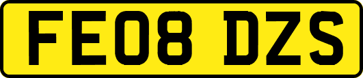 FE08DZS