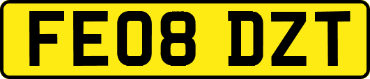 FE08DZT
