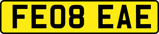 FE08EAE