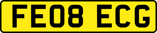 FE08ECG