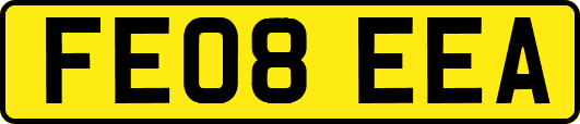 FE08EEA