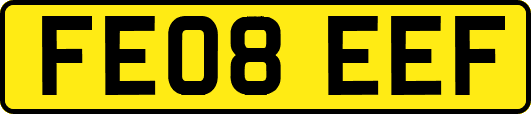 FE08EEF