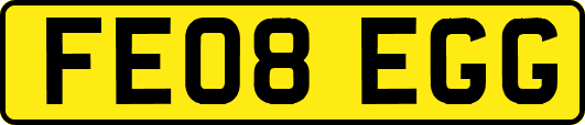 FE08EGG