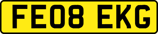 FE08EKG
