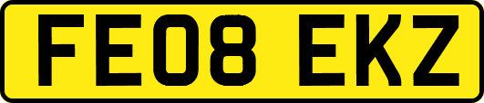FE08EKZ