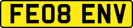 FE08ENV