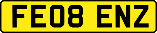FE08ENZ