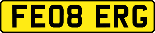 FE08ERG
