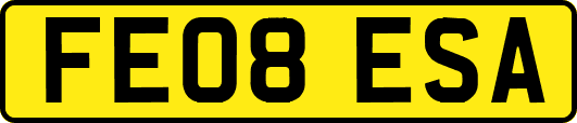 FE08ESA