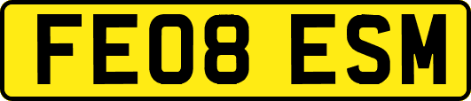 FE08ESM