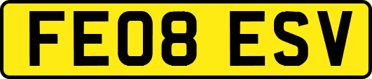 FE08ESV