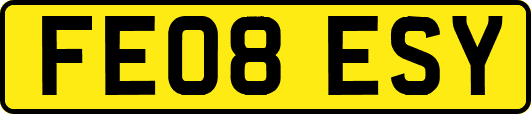FE08ESY