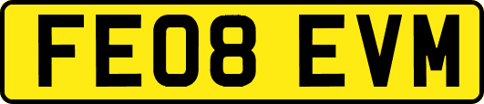 FE08EVM