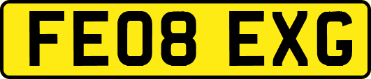 FE08EXG