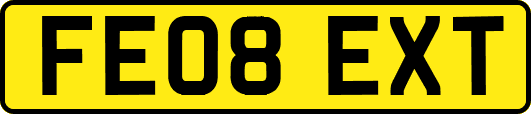 FE08EXT