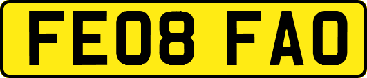FE08FAO